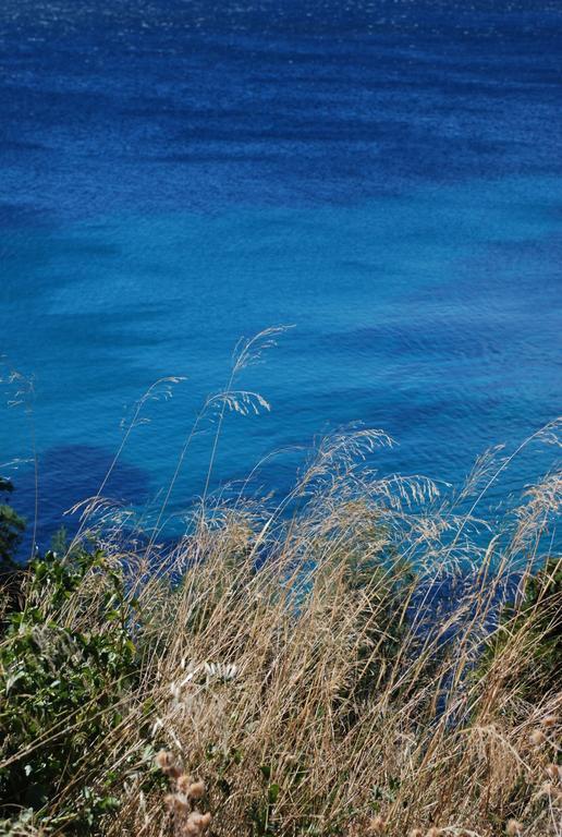 Auberge Du Cap Negre Le Lavandou Exterior foto